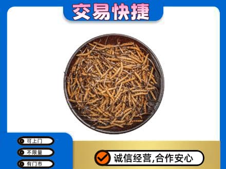 咸阳市永寿礼品回收虫草.jpg